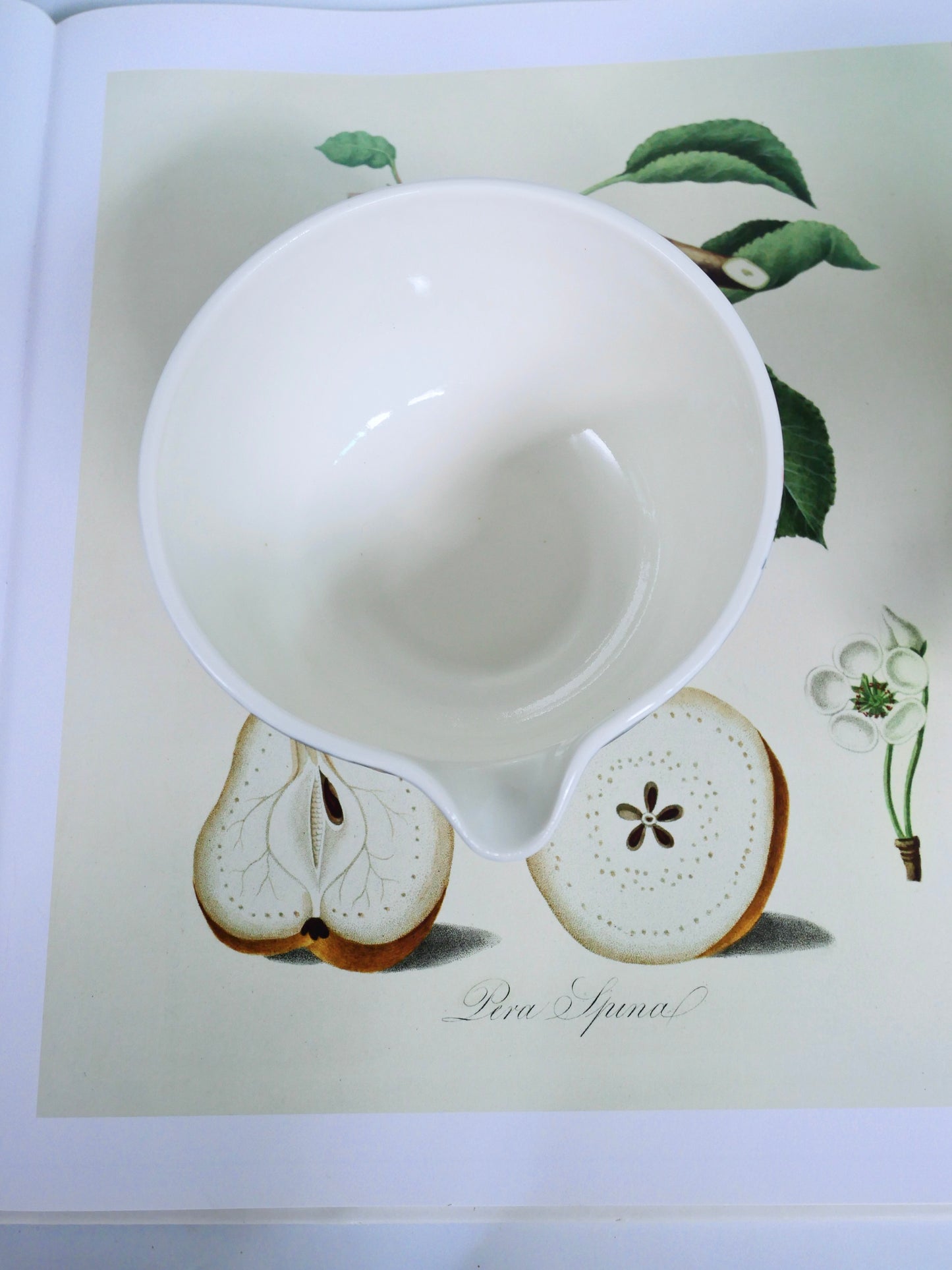 the adventure of the little bunny prince matcha bowl