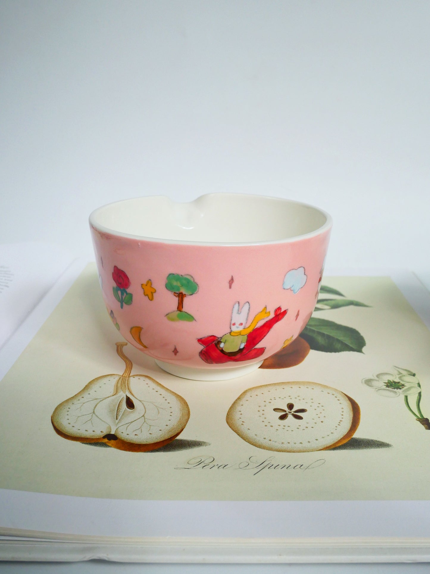 the adventure of the little bunny prince matcha bowl (pink)