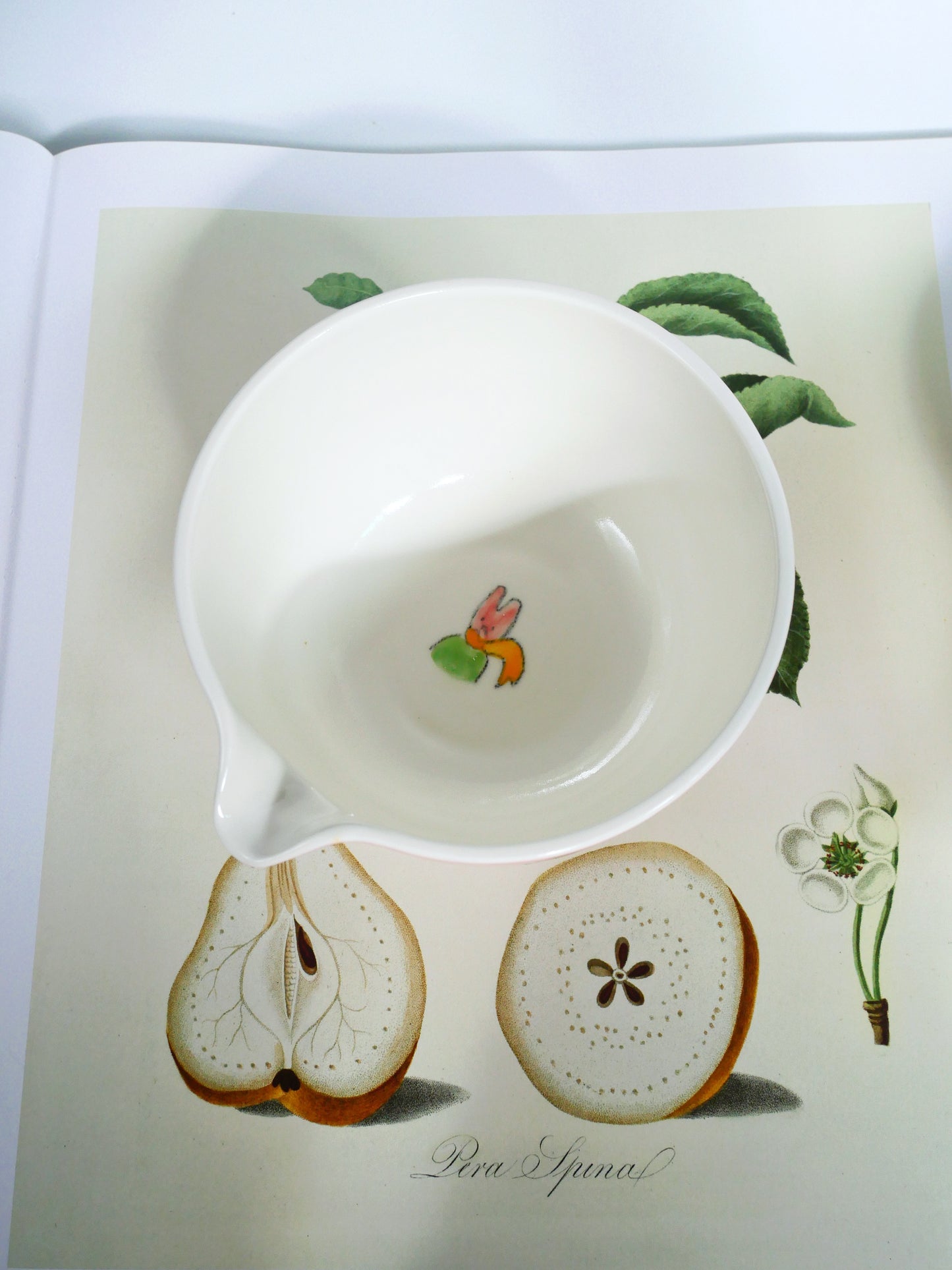 the adventure of the little bunny prince matcha bowl (pink)