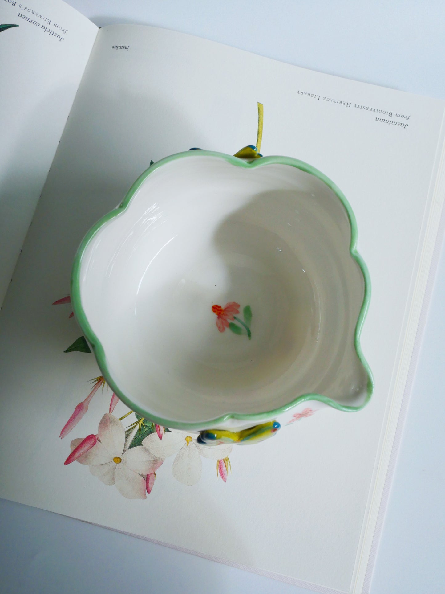 green botanica garden matcha bowl