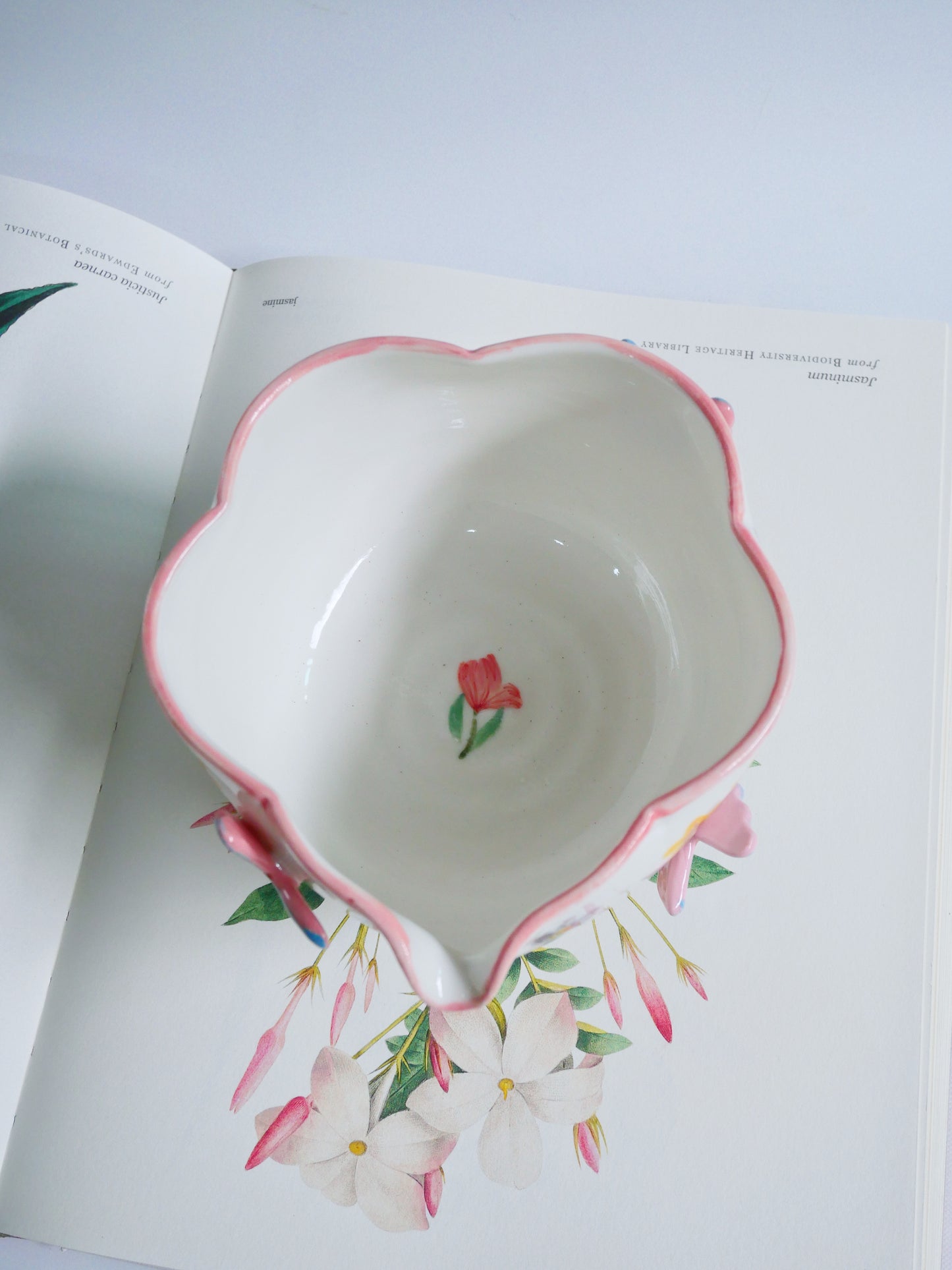 pink botanica garden matcha bowl