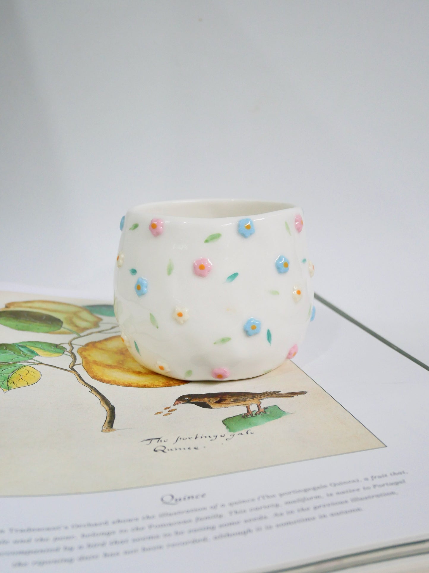 cotton candy cup