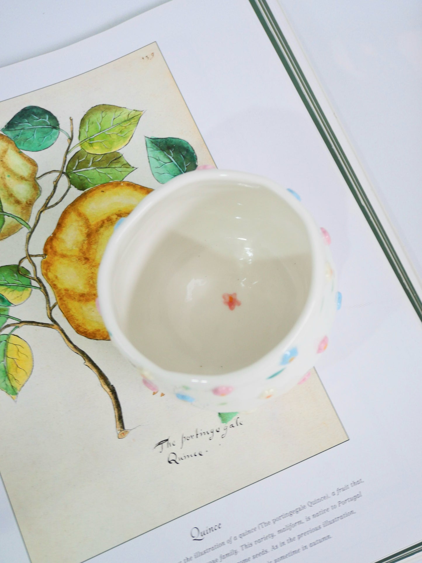 cotton candy cup
