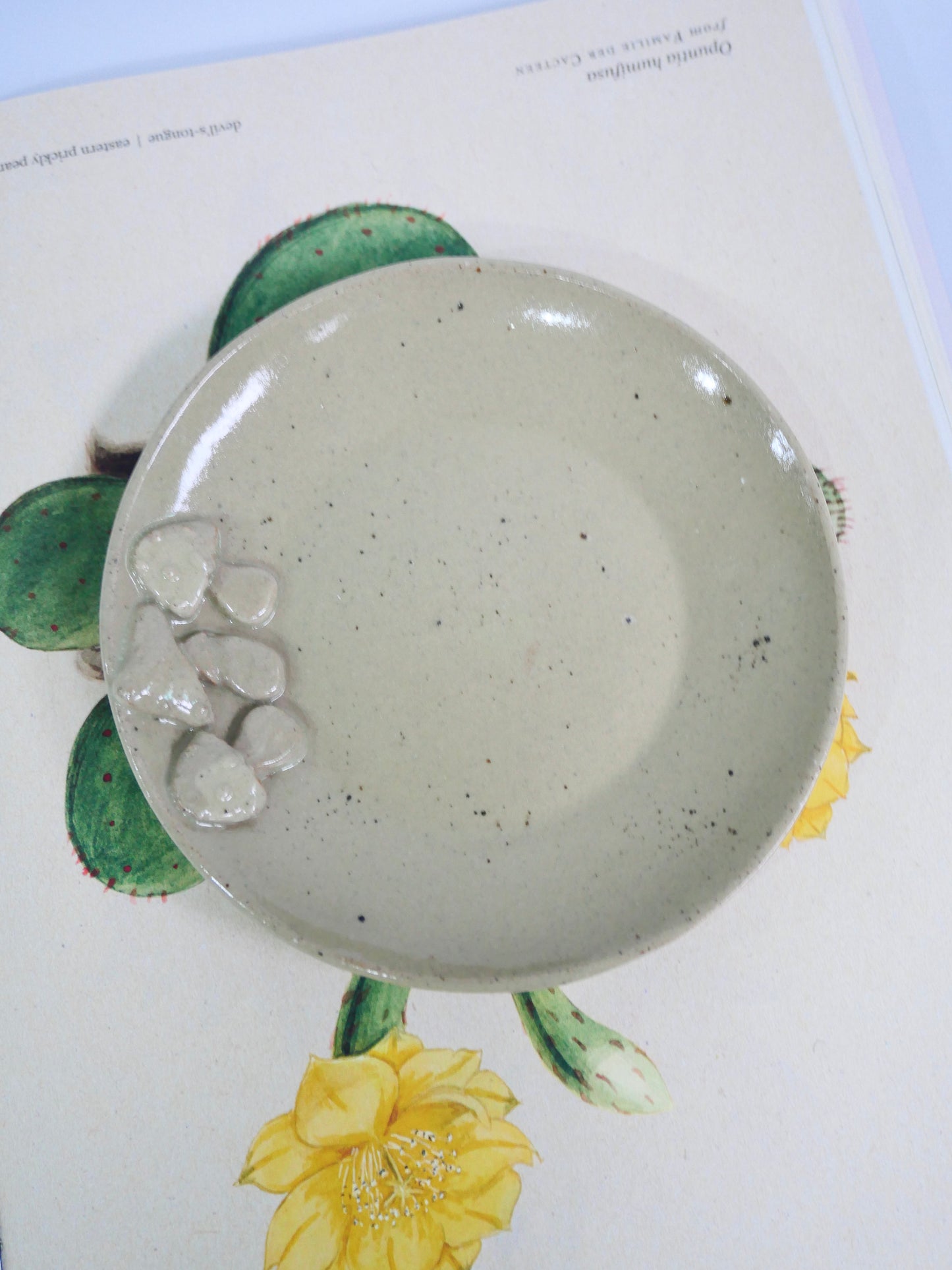 mushroom tea cup