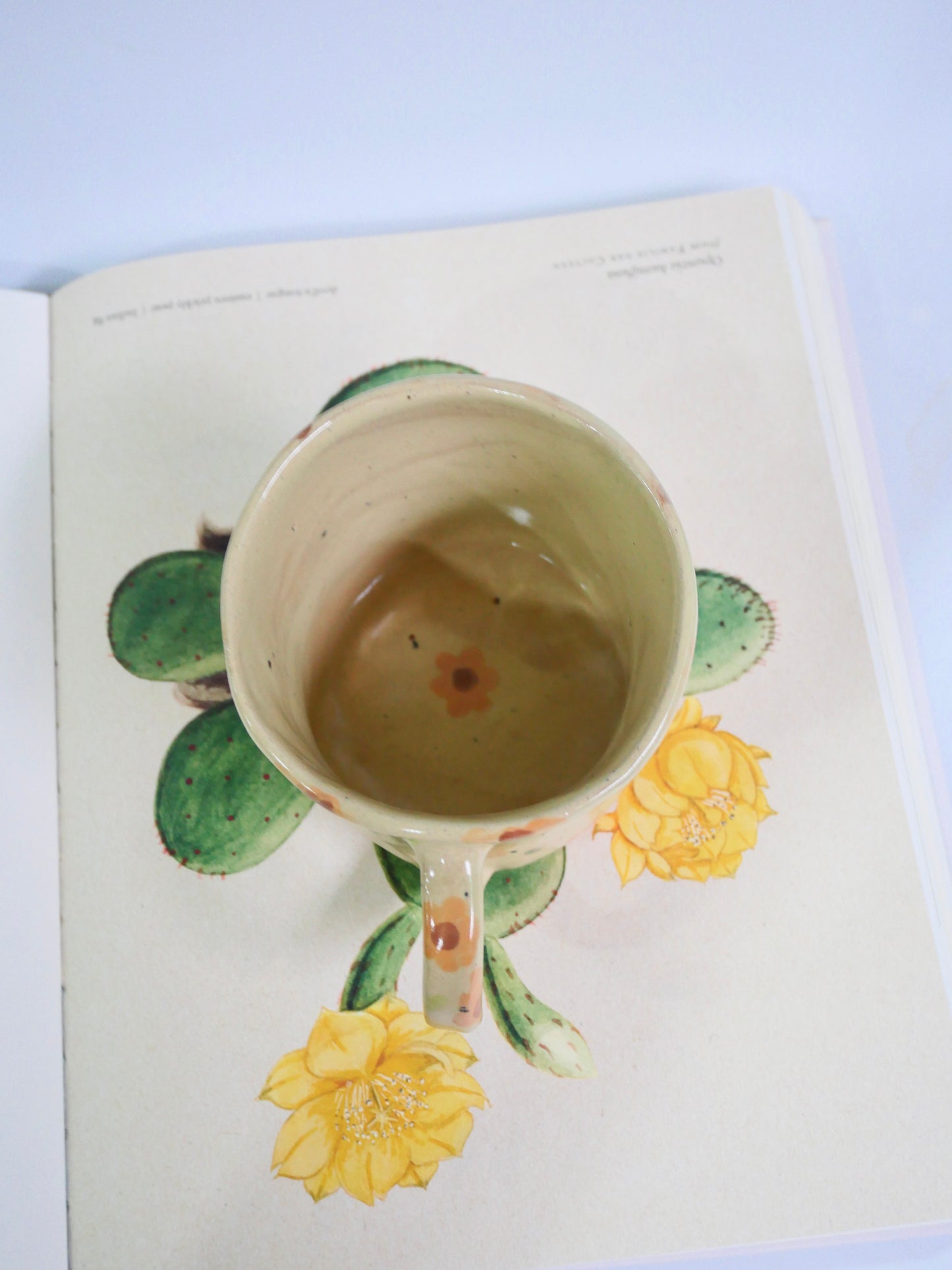 sunflower cup