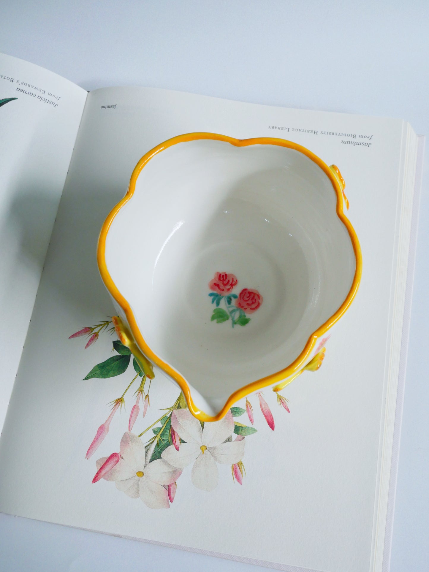 yellow botanica garden matcha bowl