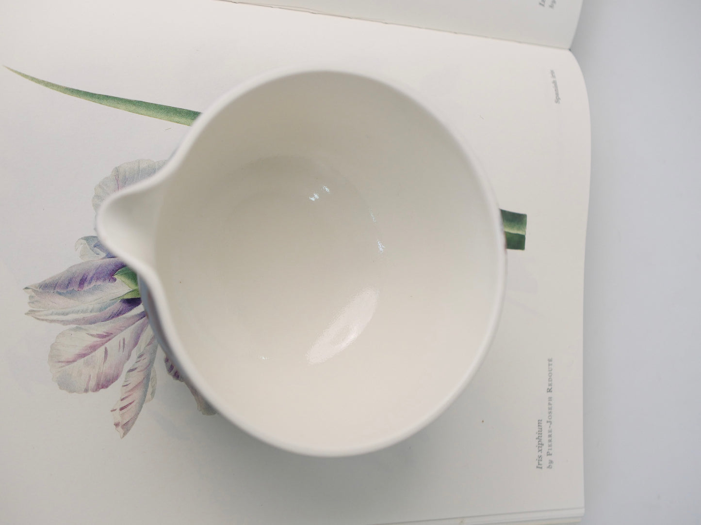 little bunny prince matcha bowl