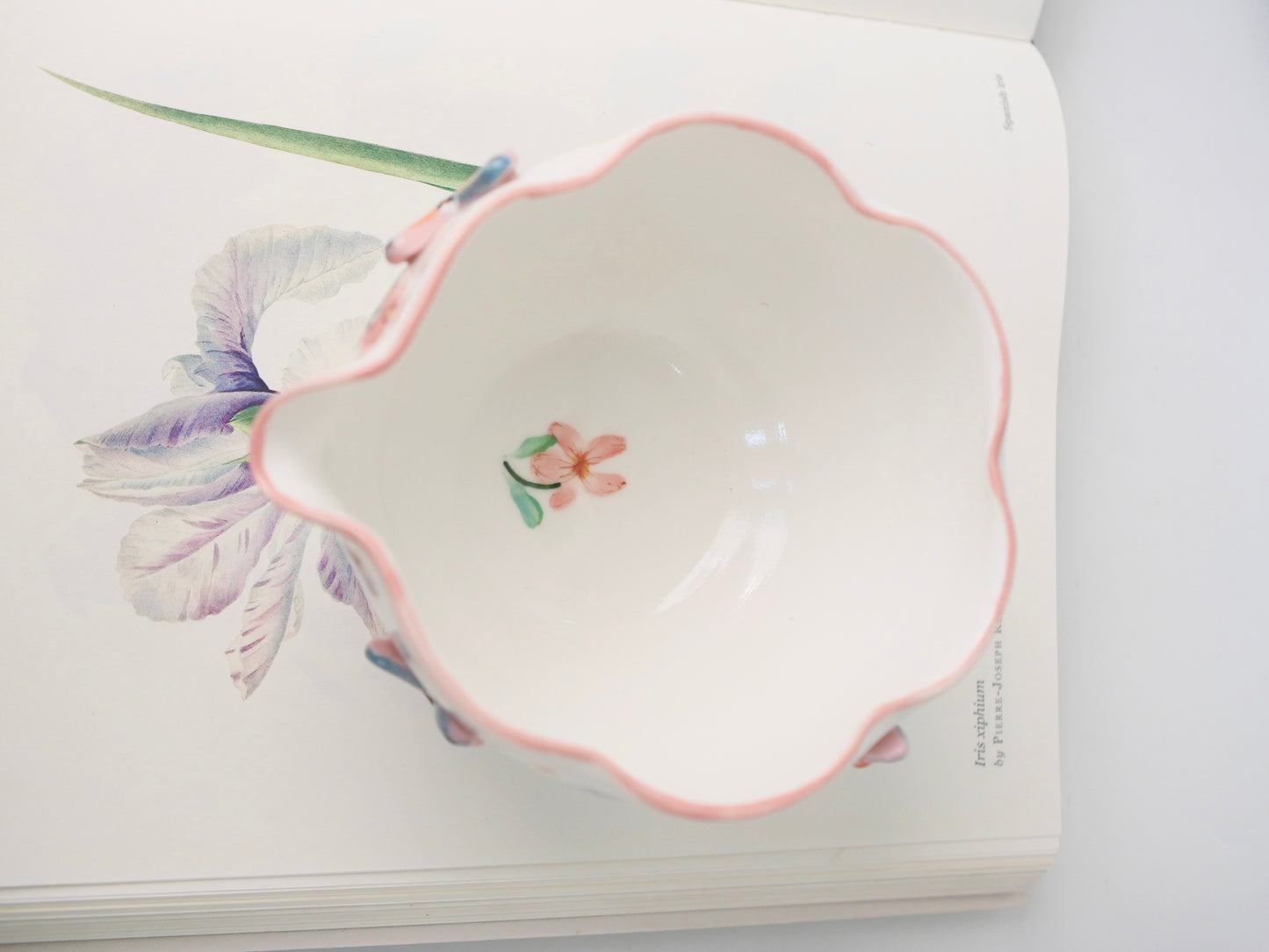 pink botanica matcha bowl