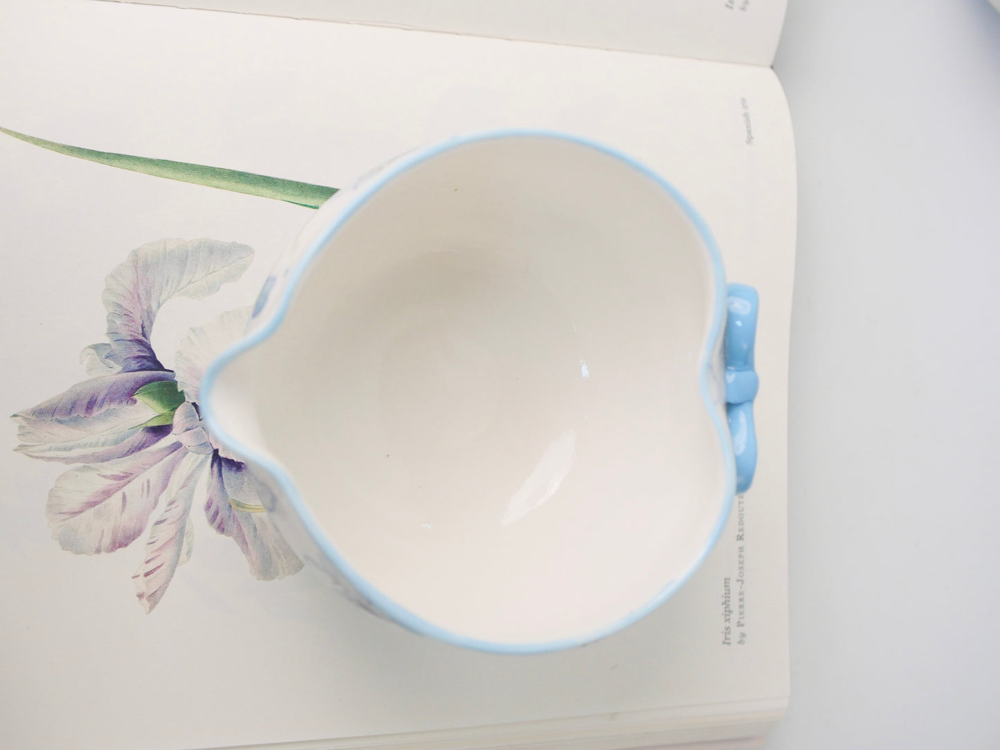 blue orchid matcha bowl